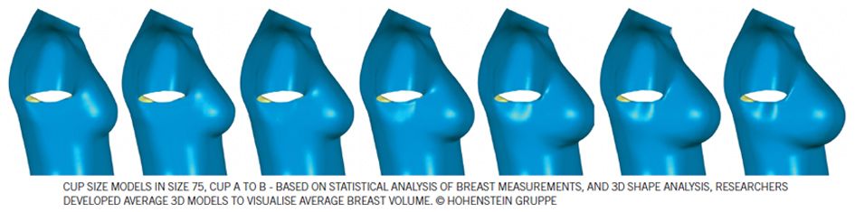 BRA SIZING WITH THE HOHENSTEIN INSTITUTE Volume VS Circumference