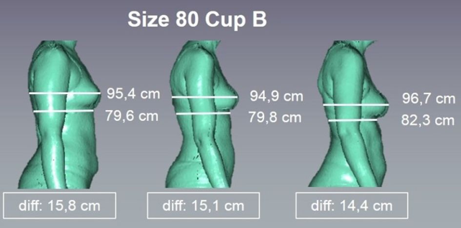 HOHENSTEIN INSTITUTE An Innovative Approach to Bra Sizing